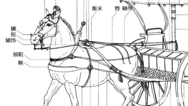 耀华马具